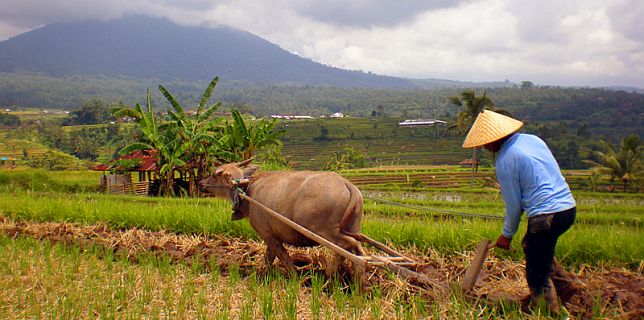 Pekerja yang Terpercaya